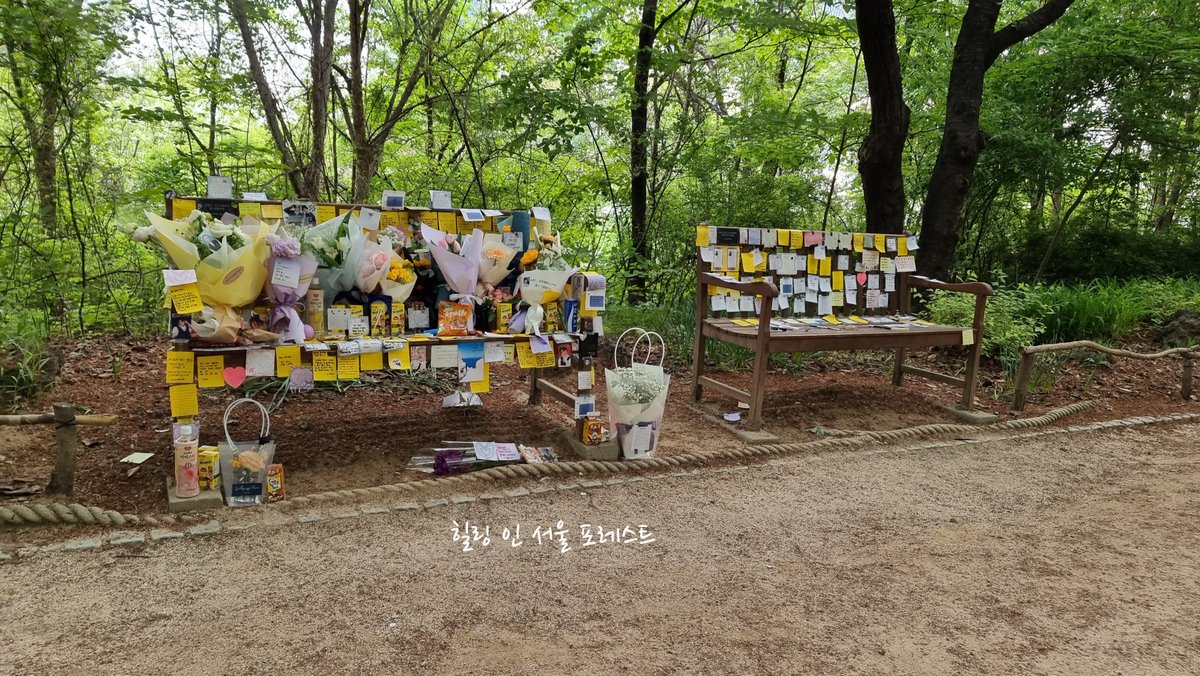 힐링 인 서울 포레스트 (Healing in Seoul Forest) tweet media