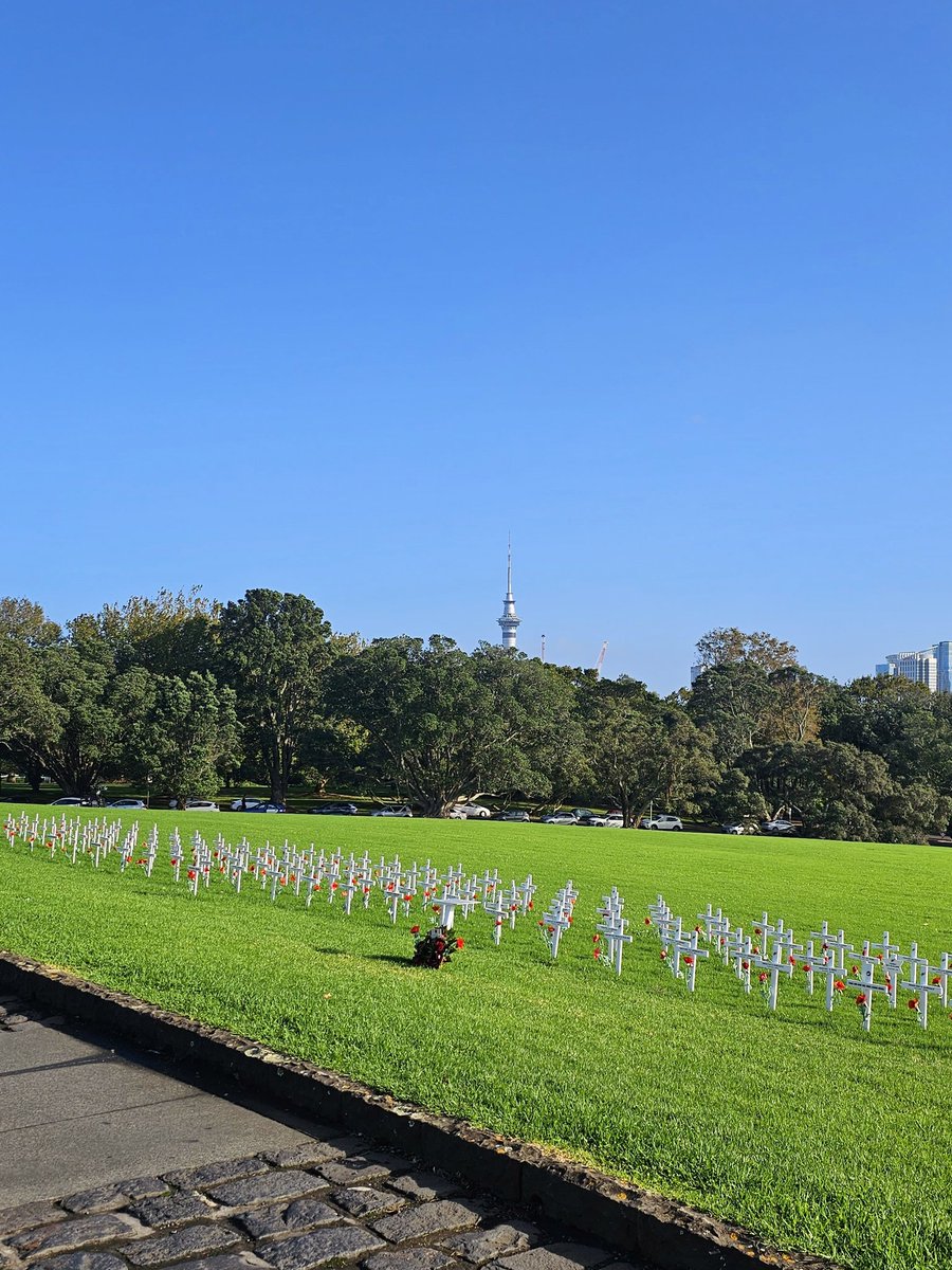 SharonM88707096's tweet photo. Beautiful morning at the Domain today. Moose was in fine form 😊
#dogsoftwitter #aucklanddomain https://t.co/twsAoaUYDj