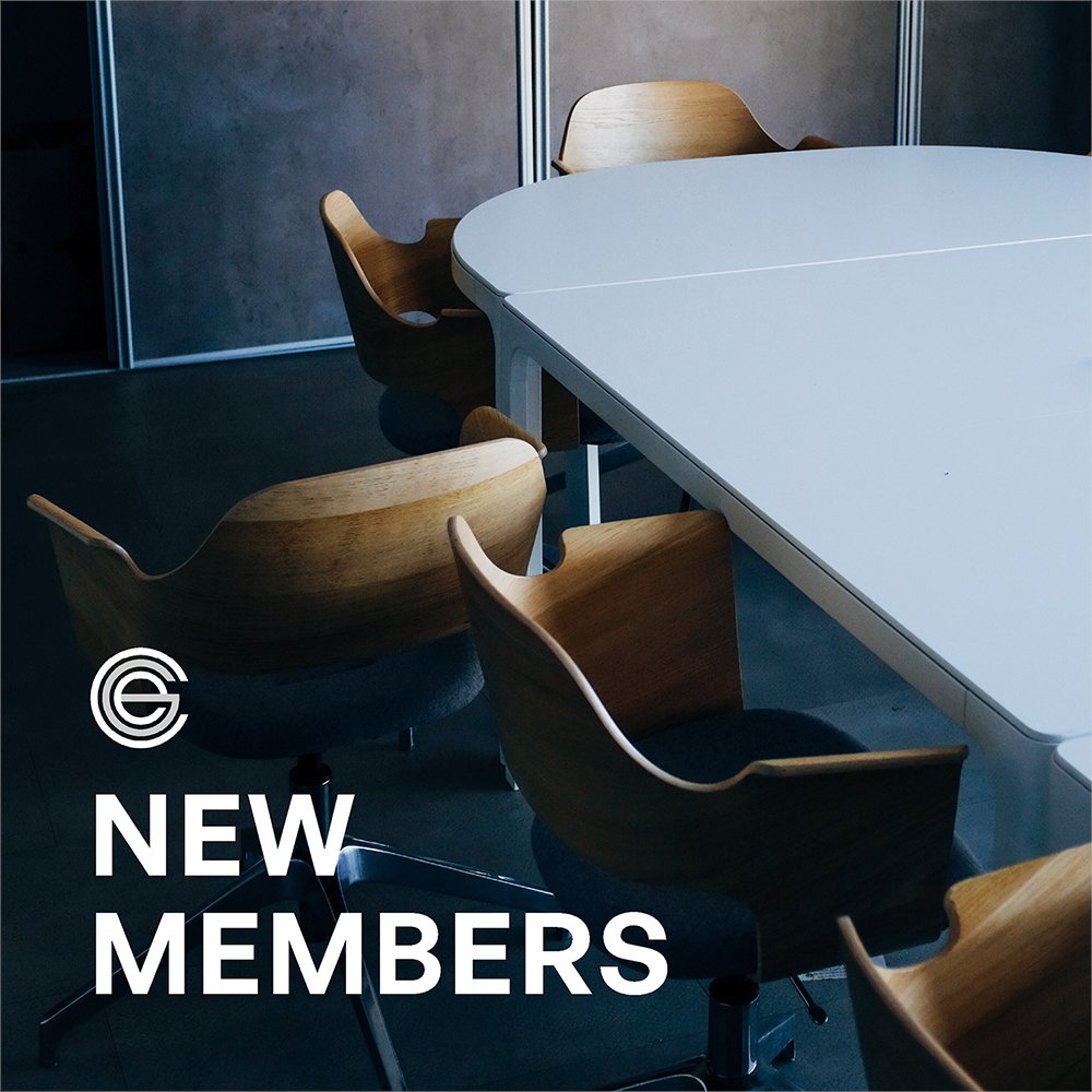 CEOs for Gender Equity tweet media