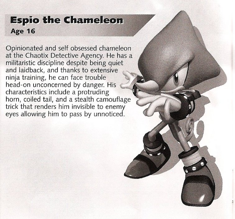 🦅|| Bruh, what do you mean this was the age they revealed for each character? I always assumed Big was a grown ass adult, not younger than me. And Rouge's 17? The fuck?

Sega should really work with the whole age thing, if you ask me, cause none sound like their specific age.
