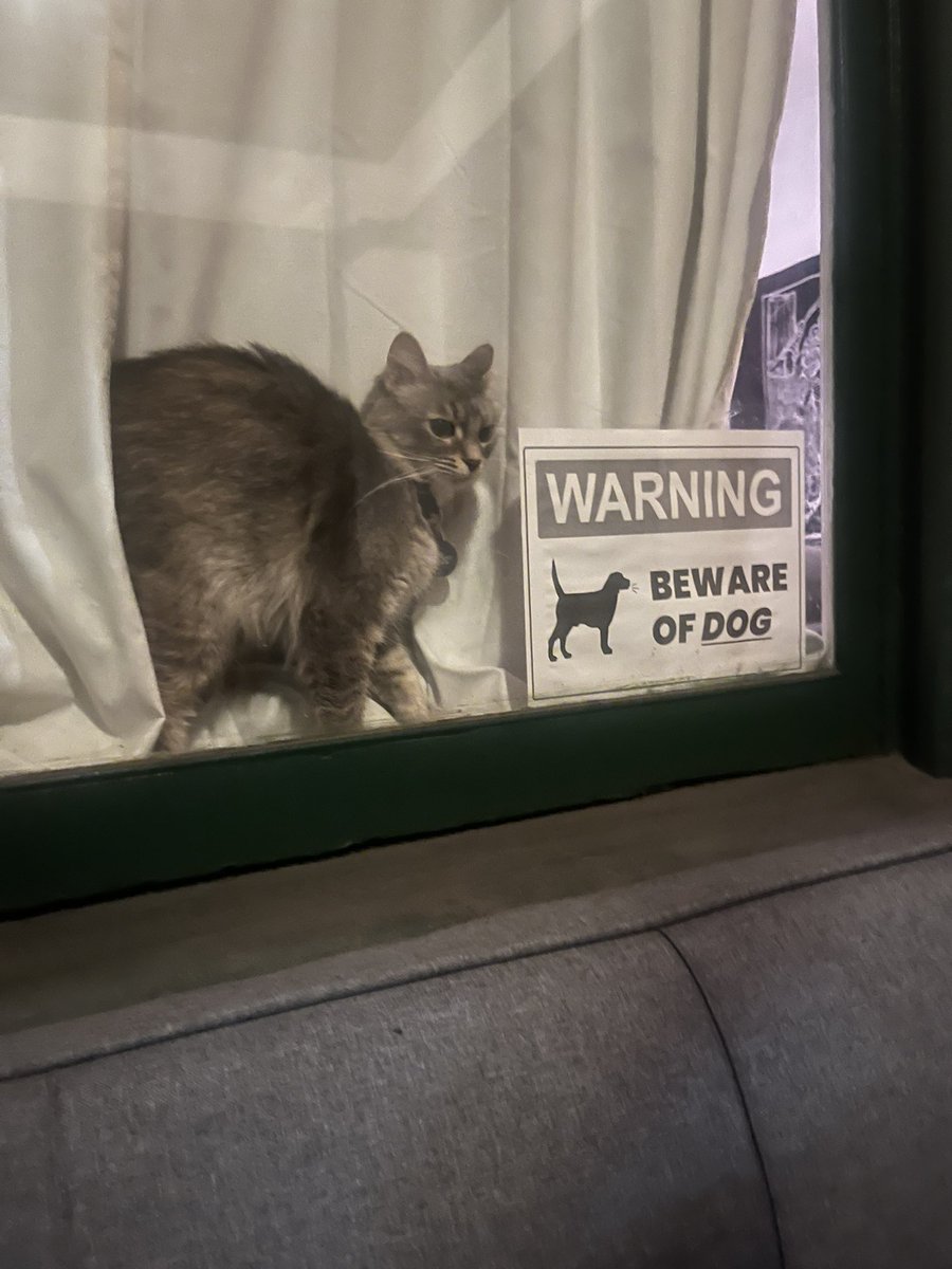 never meant by american football tweet media