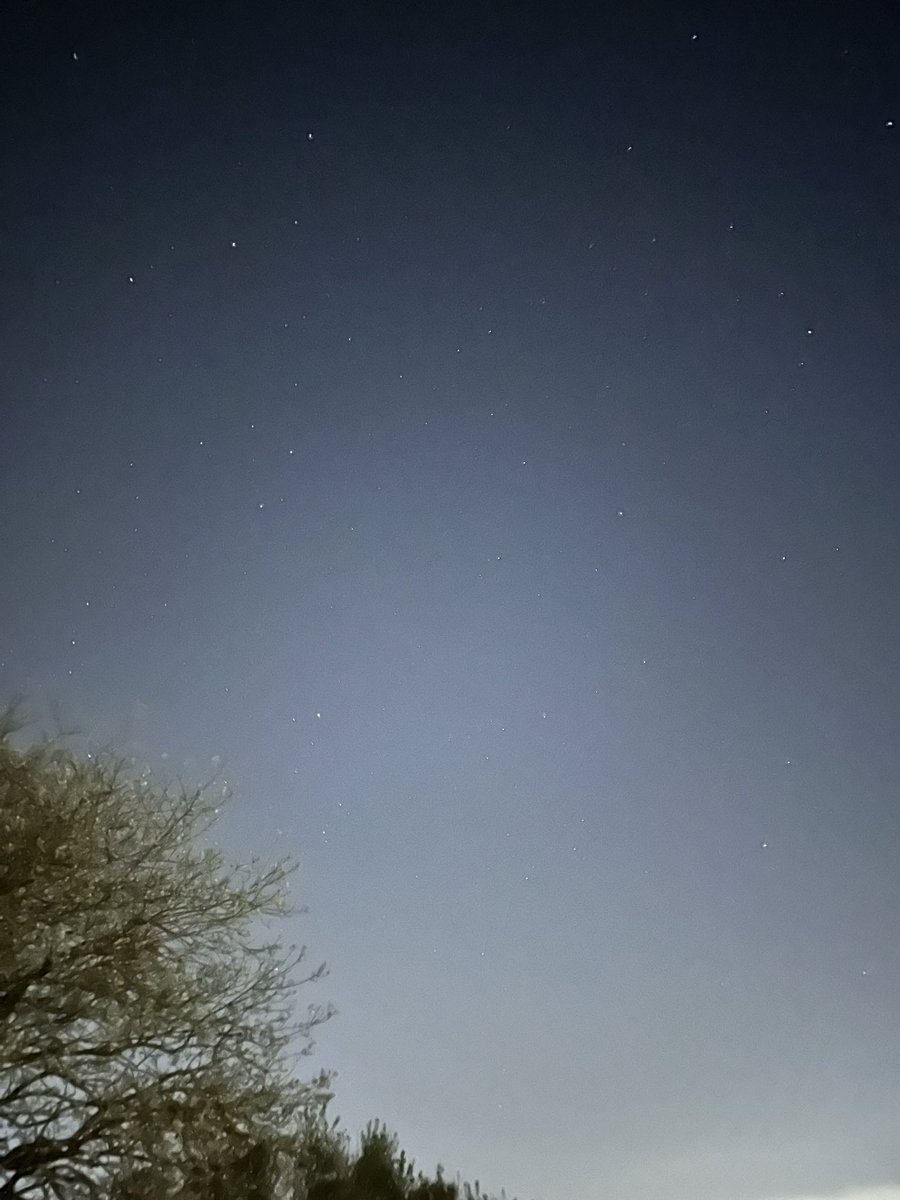 MoonPitss tweet picture