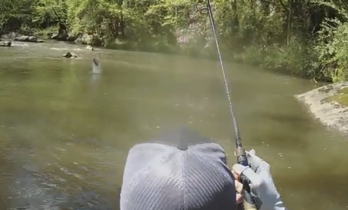 miacalva's tweet photo. Aerial bass! Posted some more raw footage from last week’s @CCKF tournament.
Lose one, then catch one!
https://t.co/nK49smnoNk
#kayakfishing #bigbass #cckf https://t.co/G63ZnKbKyA