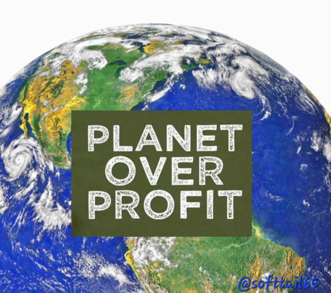 softtail65's tweet image. #CancelWillow 
#StopWillowProject
#ProtectOurPlanet
#EarthMonth2023