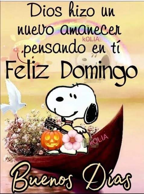 mariasixta23's tweet photo. Ƹ̵̡⁠Ӝ̵̨̄⁠Ʒ Feliz Noche Ƹ̵̡⁠Ӝ̵̨̄⁠Ʒ
#FiestaDeportivaDelALBA
Es hora de dar gracias a Dios 🙏
 por el día que termina y
 la Noche que llega
 ✨🙏🫶🩵🙌💙🙌🩵🫶🙏✨ https://t.co/1hkX3cStNt