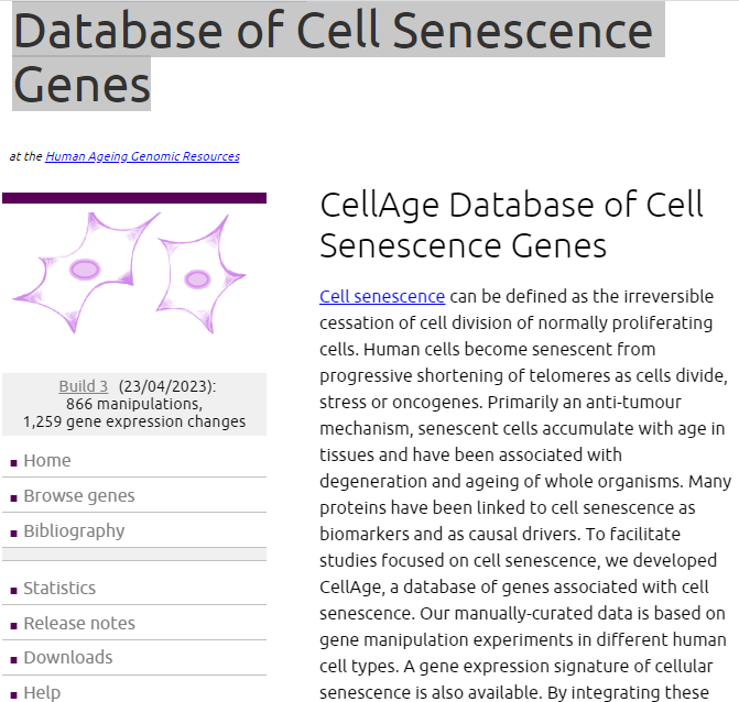 agingdoc1's tweet photo. CellAge: The Database of Cell Senescence Genes

👏@Avelar_Ageing with help from @zoya_ooq 
 [H/t @jpsenescence]

🔗https://t.co/IaHVlQmA6B https://t.co/5xIfLDq0OH