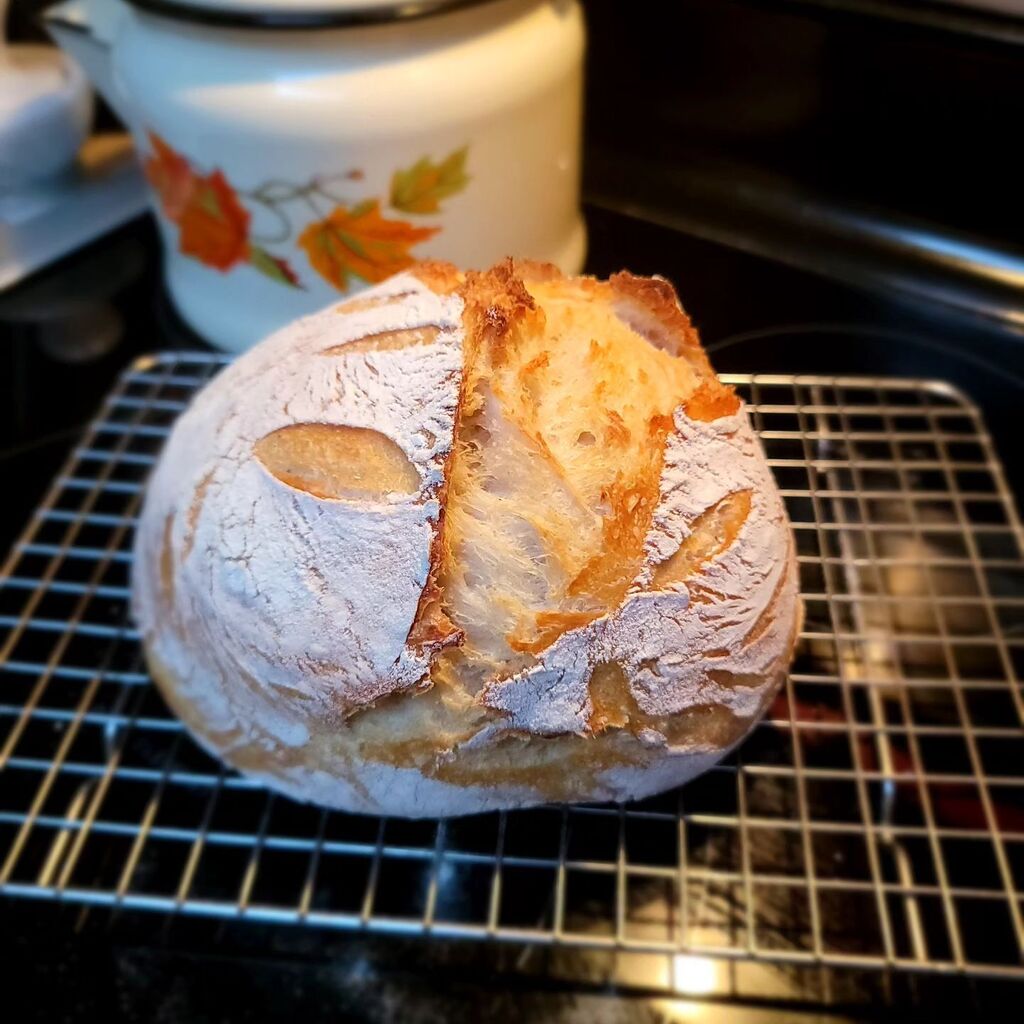 Kathy Drewien | Conversation Architect tweet media