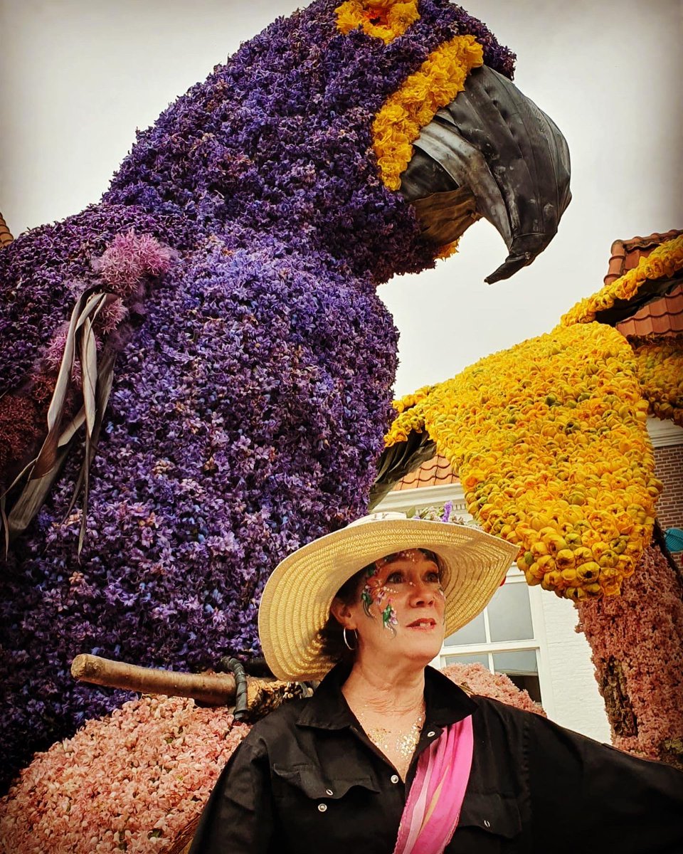 EmmaLSandersK's tweet photo. #bloemencorsohaarlem #bloemencorso #haarlem https://t.co/e0kxvdhZoP