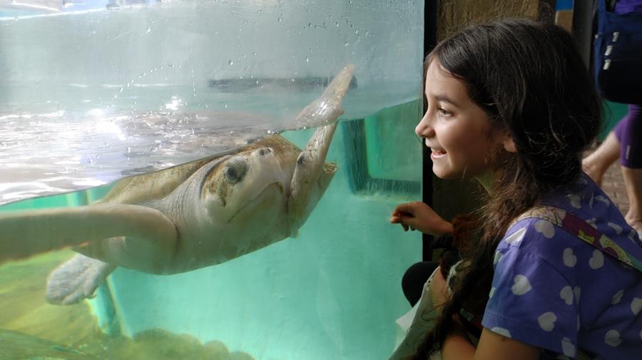 MoteMarineLab's tweet image. #MoteAquarium is honored to receive the Best Children's Attraction &amp;amp; Best Kids-friendly Museum Platinum Awards from @srq_mag Best of SRQ Local Awards❕
 
Mote is open 3️⃣6️⃣5️⃣ days a year from 9:30 a.m. to 5 p.m. For more FINfo, visit mote.org 🐠

#lovefl #bestofsrq