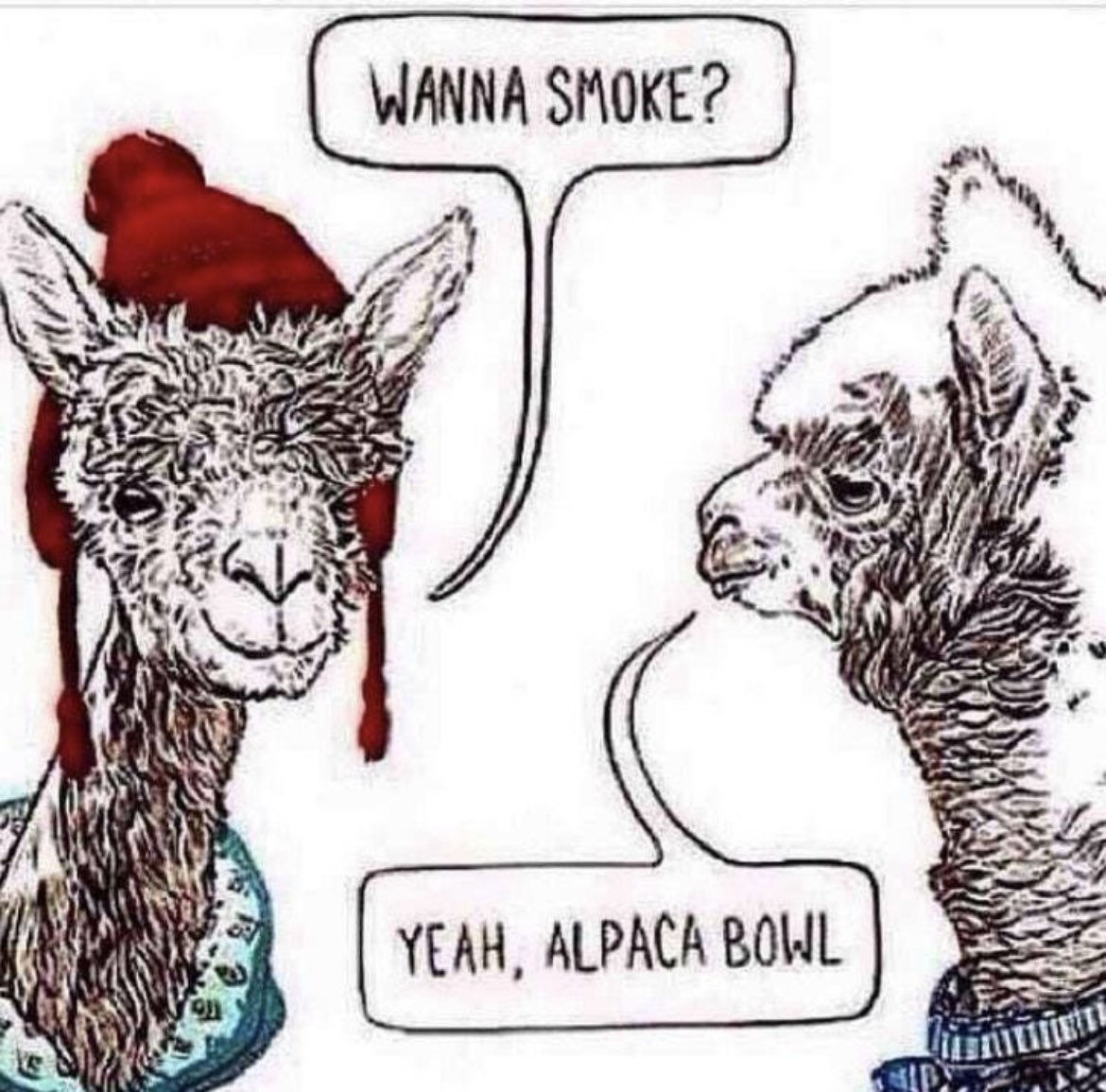 Ribera420's tweet photo. 🤓🥹😂🤣🤣 💚💨💨😶‍🌫️ #Mmemberville #StonerFam https://t.co/WuB9kkvnw5