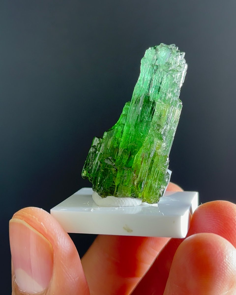 grpgems's tweet photo. "Discovering the world of rocks and minerals is like embarking on a treasure hunt 💰🔎 #treasurehunt #rockhunting" https://t.co/9pJG5EoxG1