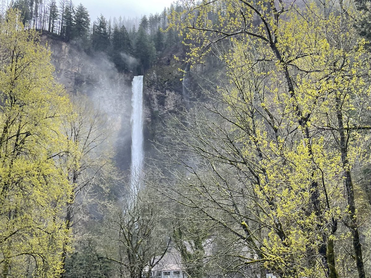 Just another waterfall on the side of the road 🥱😉
