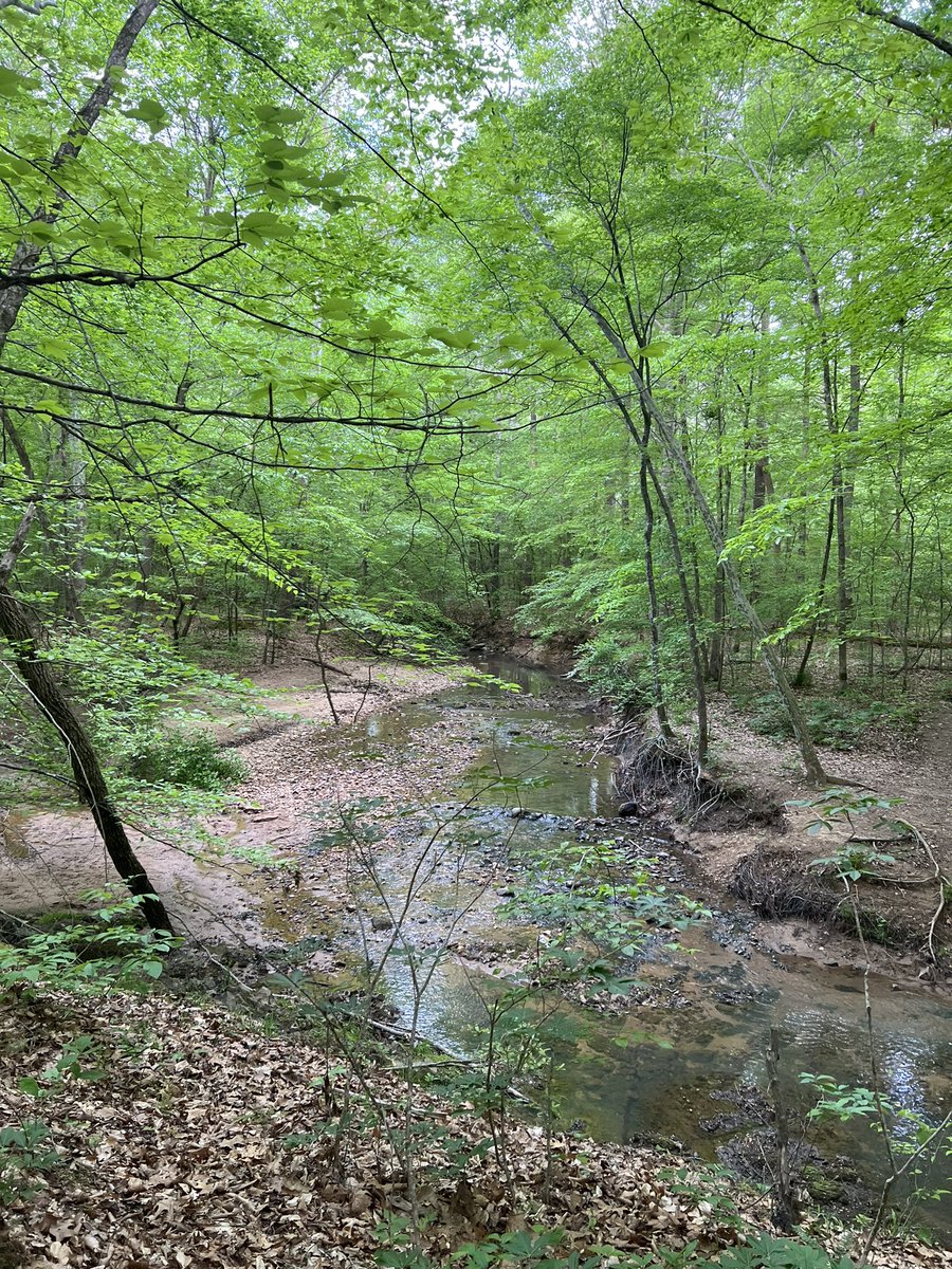 hsgaines's tweet photo. What a beautiful weekend to celebrate our 🌎! Hiking gives me some much needed “me time”. #CelebrateTrails #GreatTrailState https://t.co/yC27Pa9qUL