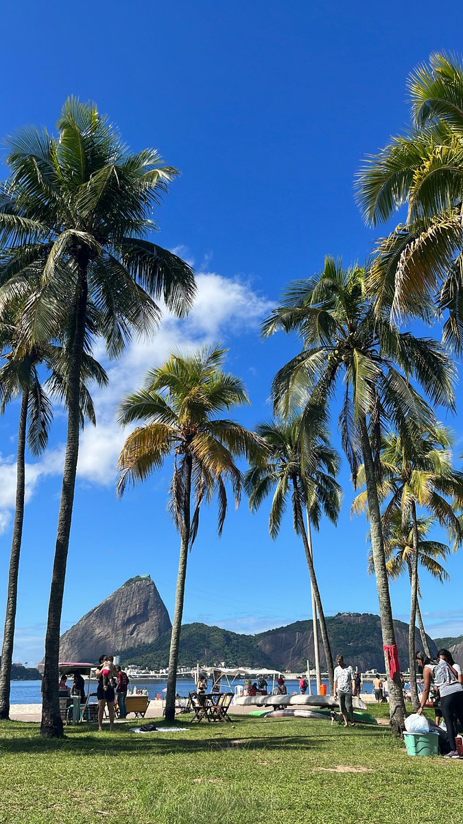 Rio 💛