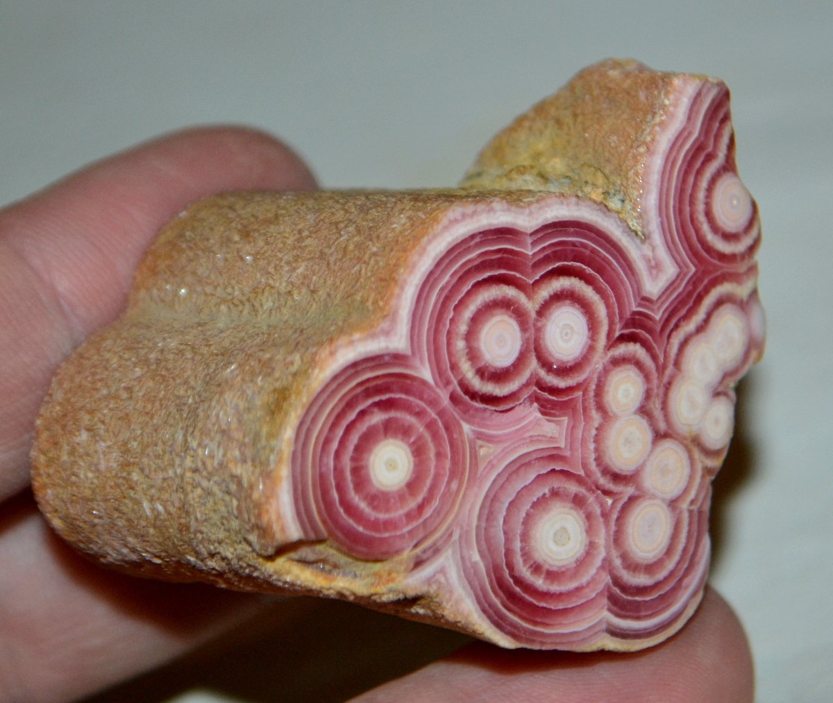 Rhodochrosite Stalactite slice  from Capillitas mining district, Andalgalá Department, Catamarca Province, Argentina.

Photo: MineralsArgentina/ FB page
