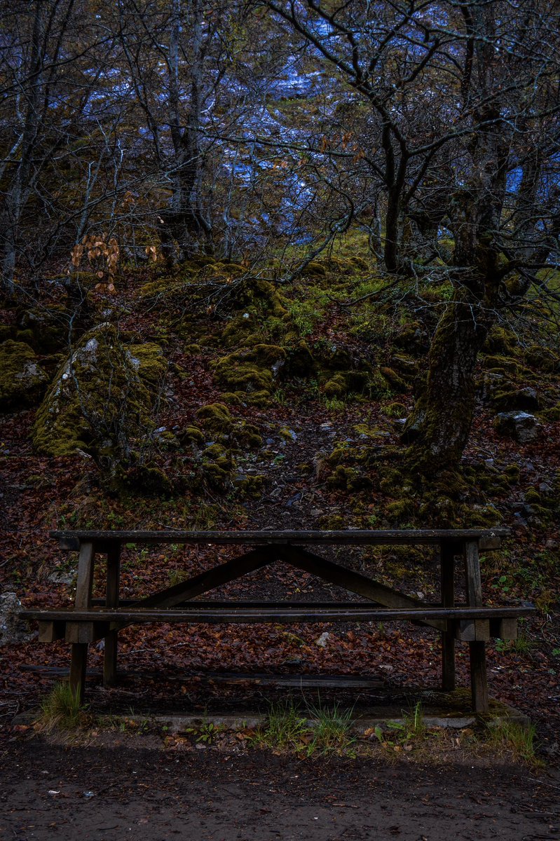 Dora_suarezz's tweet photo. Faedo de Ciñera, León.🍁 https://t.co/Df9ZmzMeCs