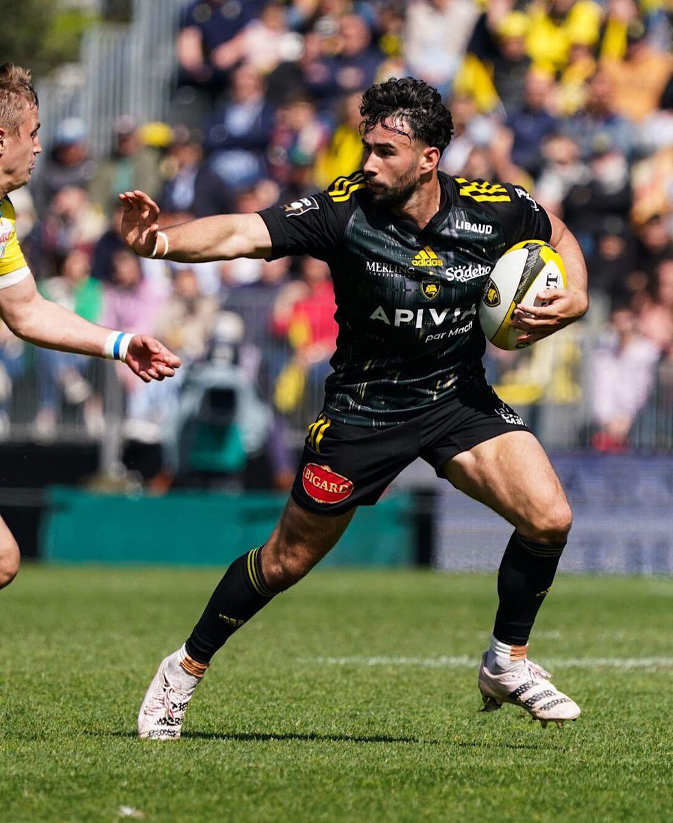 Spring has come 🐝 #SRASM