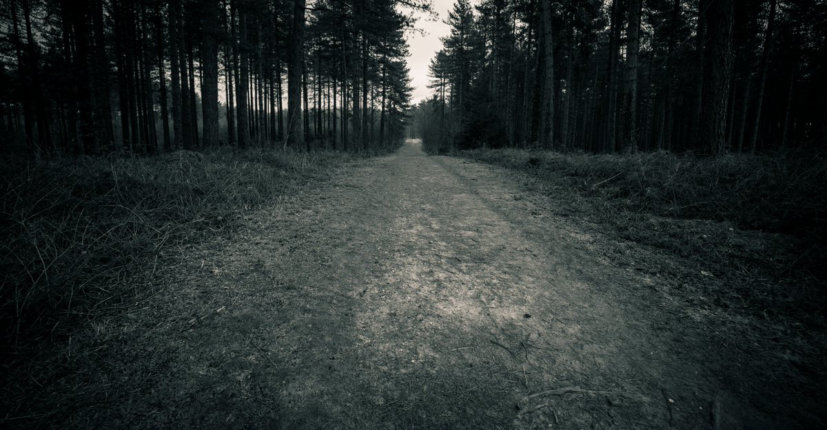 Robert Barker 🦆☂ tweet media