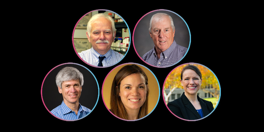 APSPhysiology's tweet photo. APS' new member leaders have taken office at #APS2023. Learn more about them: https://t.co/vQZygOBq1R https://t.co/BVk7liutFj