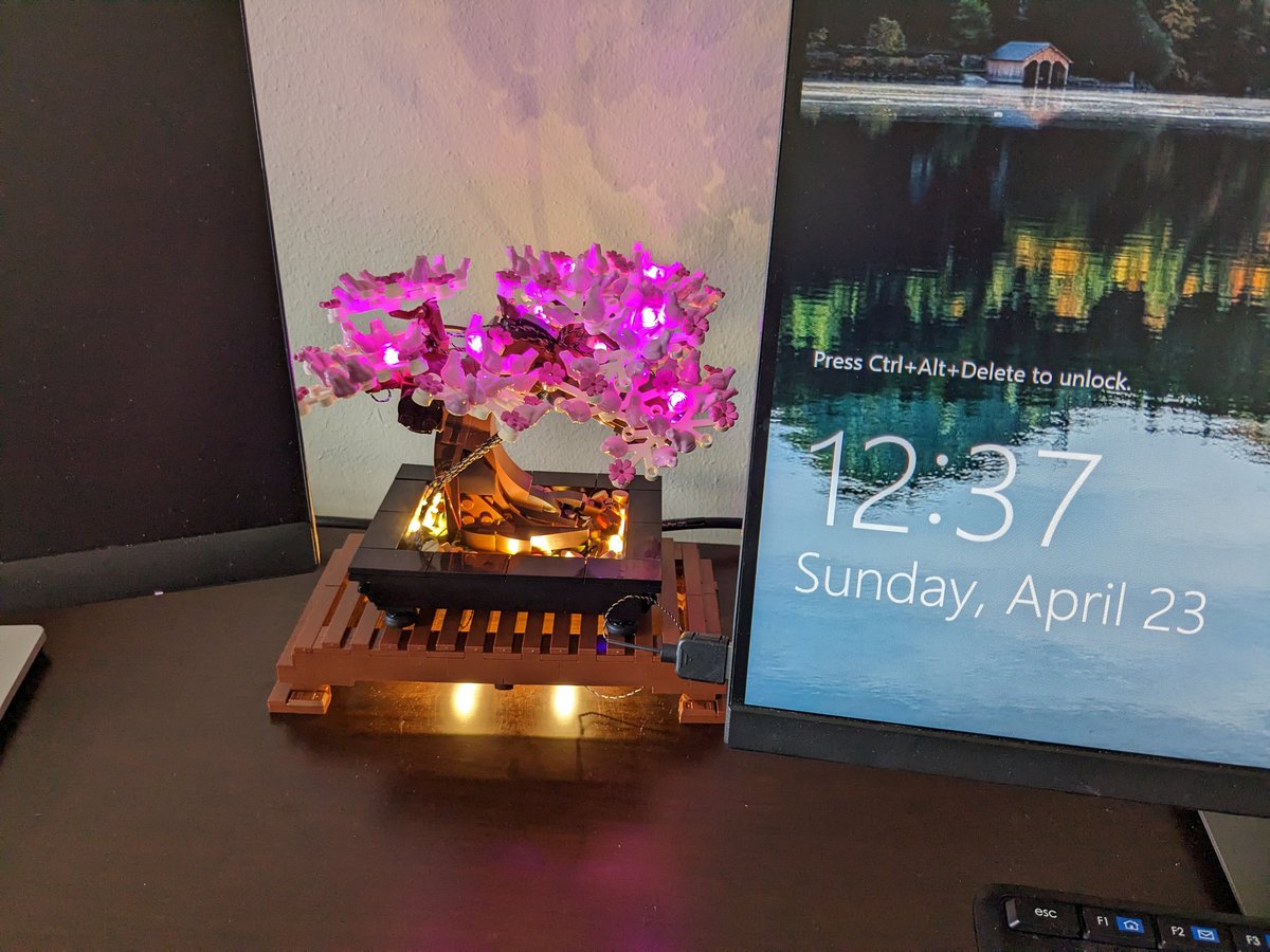 A successful weekend... Finished the lighting on my @LEGO_Group bonsai tree. It turns on and off with my computer. Lego power to motivate all of my map work. Attn: @deepseadawn