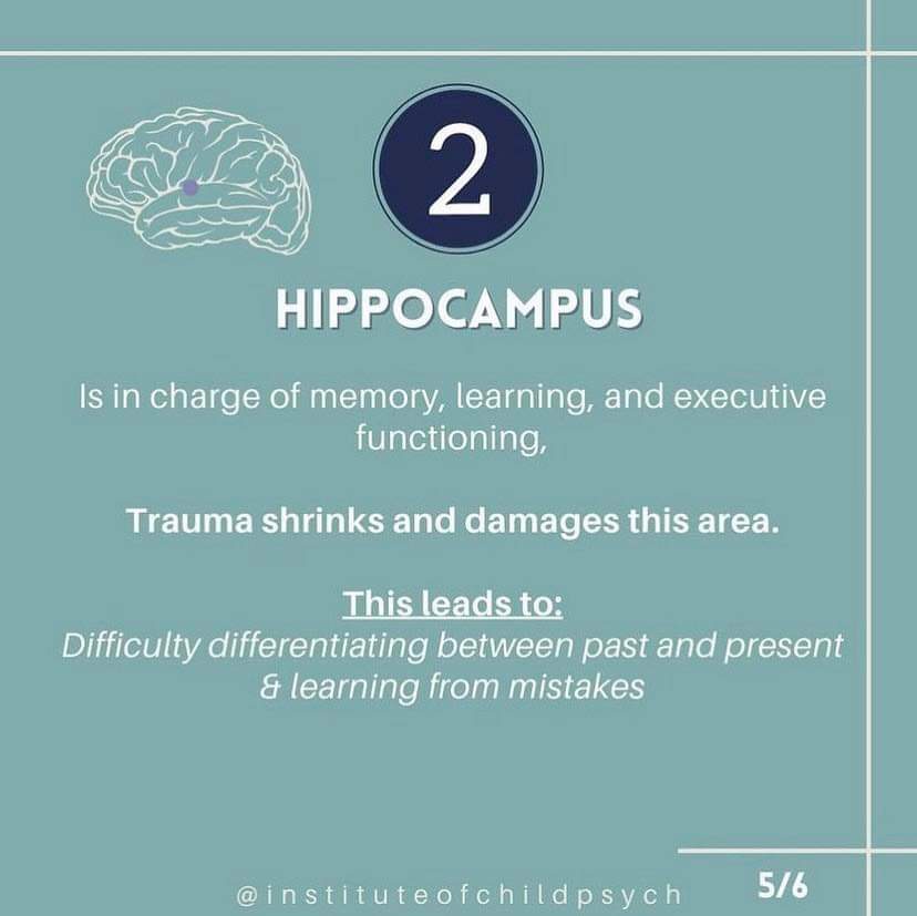 gerrydiamond71's tweet photo. How trauma impacts the brain. 🧠🌱 https://t.co/vu7ZqGPcqY