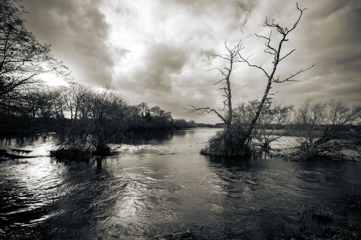 Robert Barker 🦆☂ tweet media