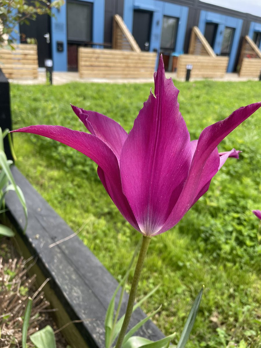 karenjac's tweet image. Visited a very busy @EmmausCambridge for the first time today. I was surprised by how big the shop was and everything was so well organised. Definitely worth a visit - a wonderful charity! #thrift #charityshop #community