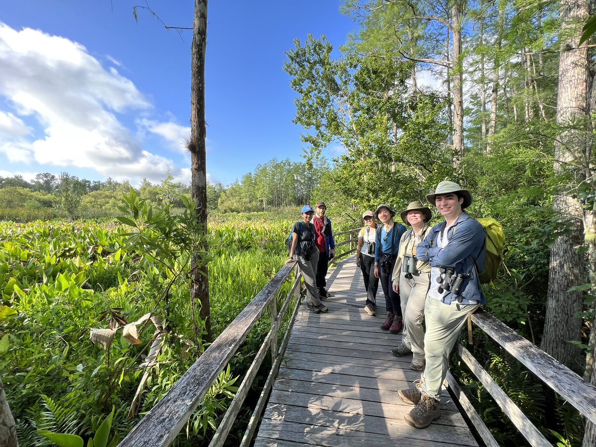 popgenchen's tweet image. Fun lab birding trip to @CorkscrewSwamp before the annual Florida Scrub-Jay meeting at @ArchboldStation tomorrow