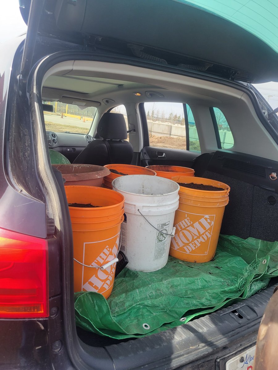 Hey #YegGarden Tweeps! The city opened the free compost pickup yesterday, and it is beeYOOtiful!

gov.edmonton.ab.ca/programs_servi…