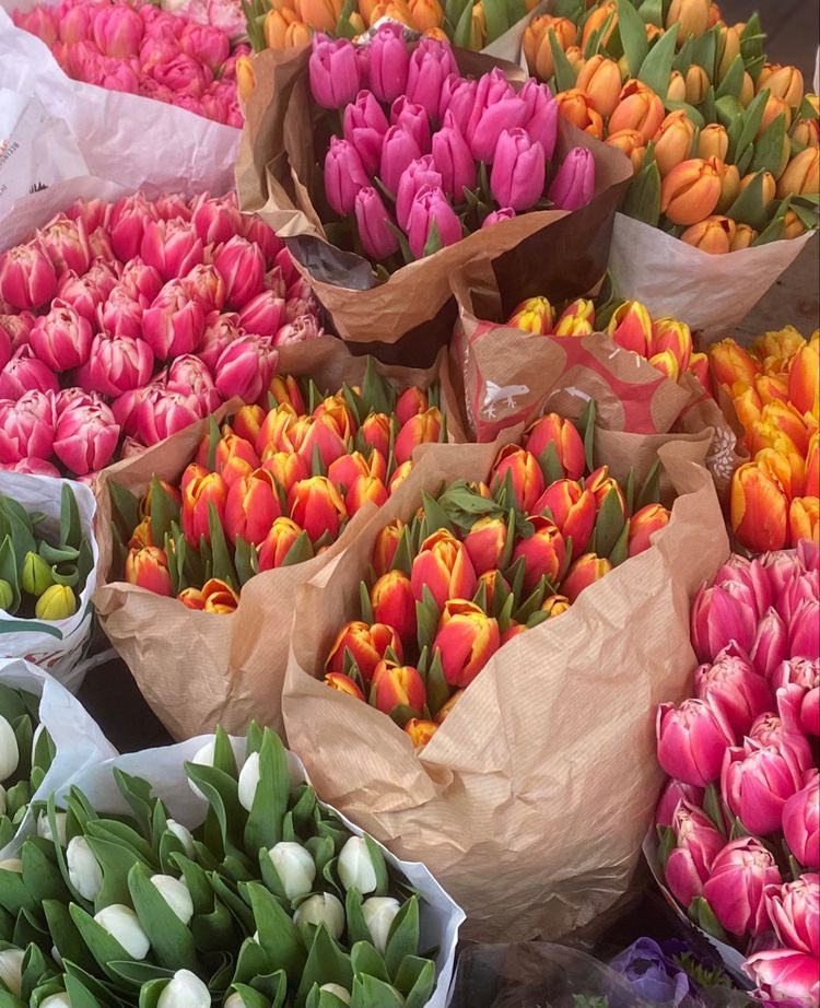 olivia rodrigo comfort (@safelivie) on Twitter photo 