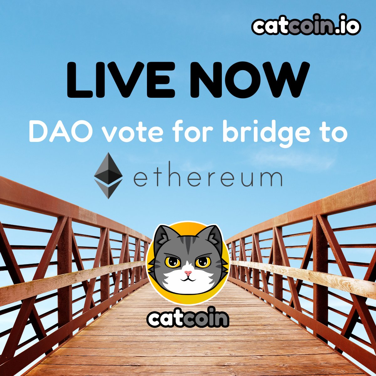 officialcatcoin's tweet photo. Will #Ethereum be in the future of #Catcoin? It's up to the #CatcoinArmy.

Vote yes or no at https://t.co/7HhucU8qbp https://t.co/gCz3oVFAfE