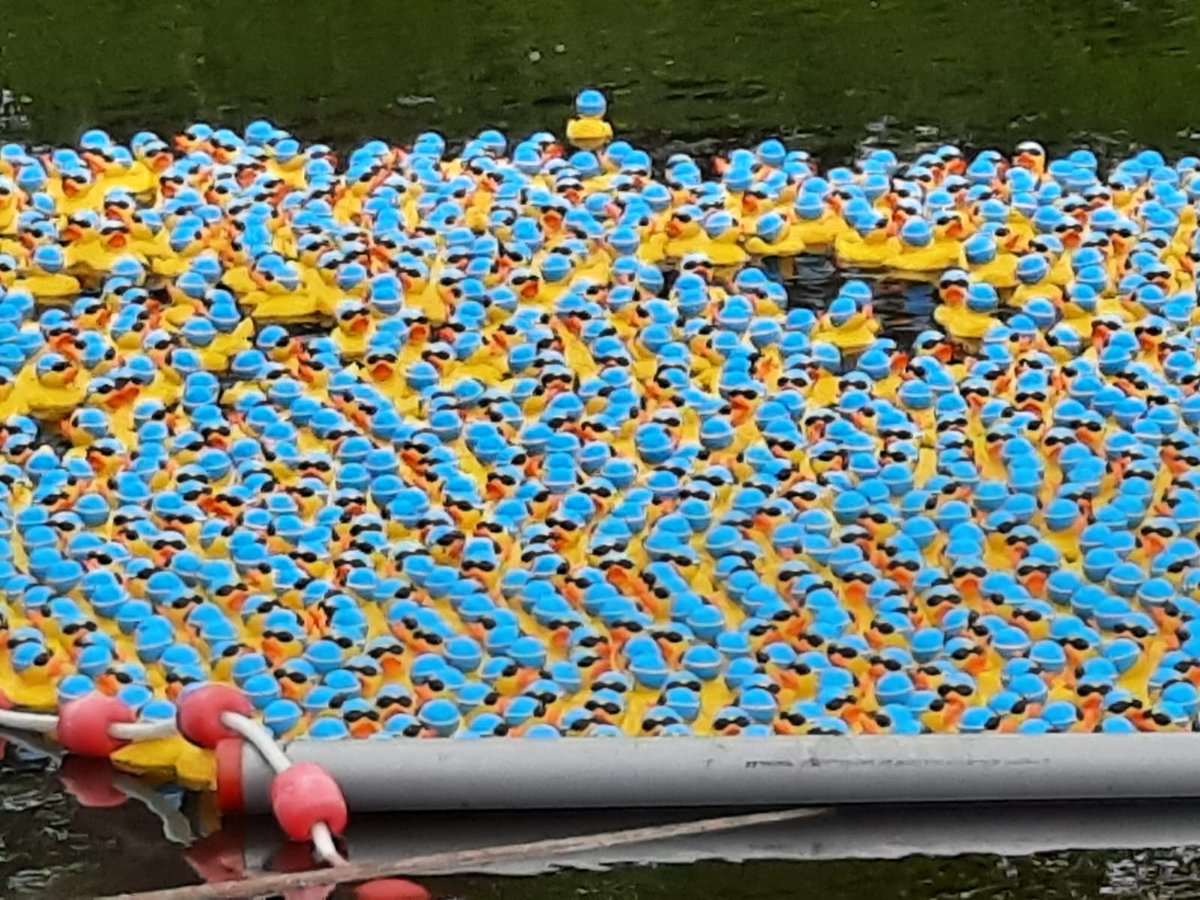 Esther vd Linden tweet media