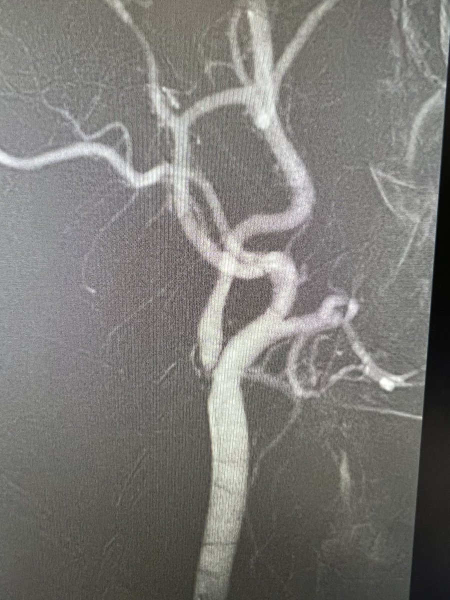 André Poci tweet media