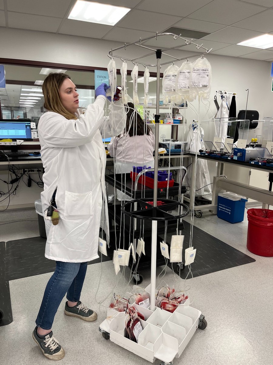 vitalant's tweet image. It’s Medical Laboratory Professionals Week! We celebrate staff in our labs from conducting research to making matches for patients with specialized blood needs, to separating blood donations into individual components as seen here. Thanks for all you do! #ASCPLabWeek23