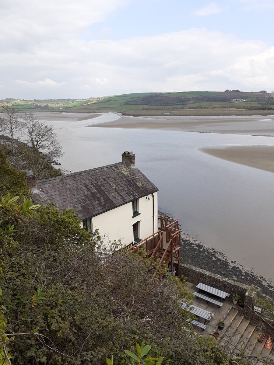 angiloveslife's tweet photo. Afternoon walk to walk off the Sunday lunch. Turned out nice but sadly didn't hear any curlew on the estuary #Laugharne #Castle #dylanthomas #writingshed #woods #walks #lilydog #chesterdog https://t.co/b9UsDQDOcl
