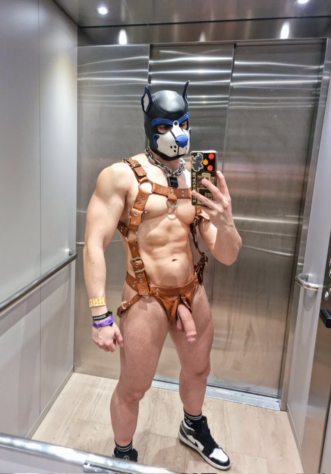 pupbuday