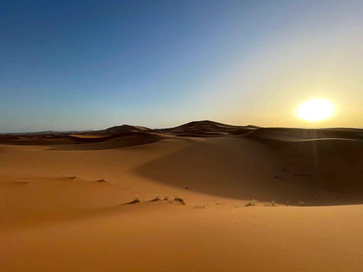 Prof Kevin Gaston tweet media