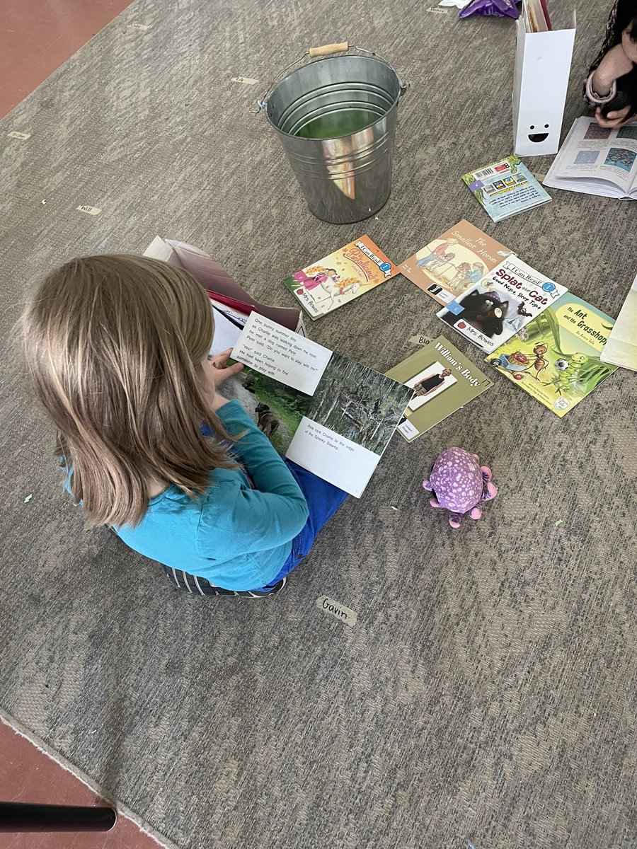mrsbowesteaches's tweet image. Getting cozy with some stuffies for Reading on Friday. #stuffies #independentreading