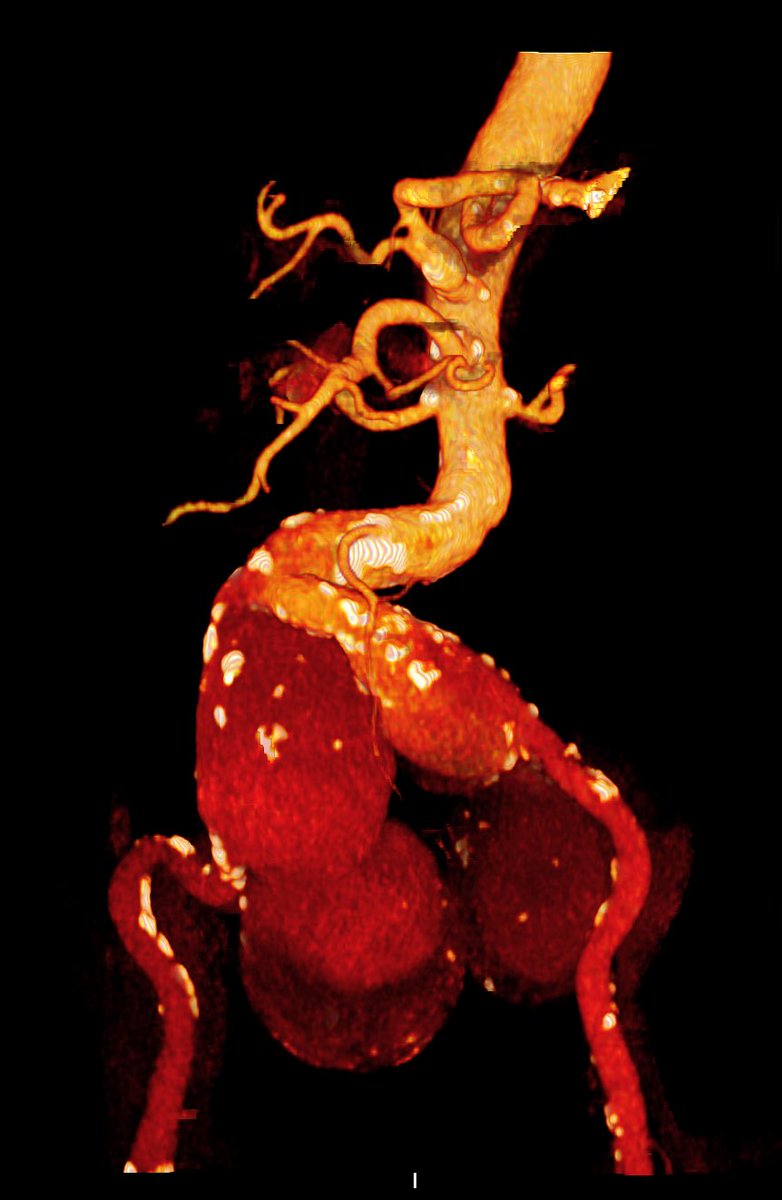 André Poci tweet media