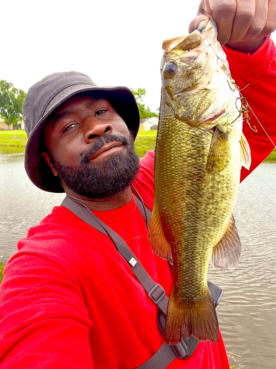 KastmasterSKEET tweet media