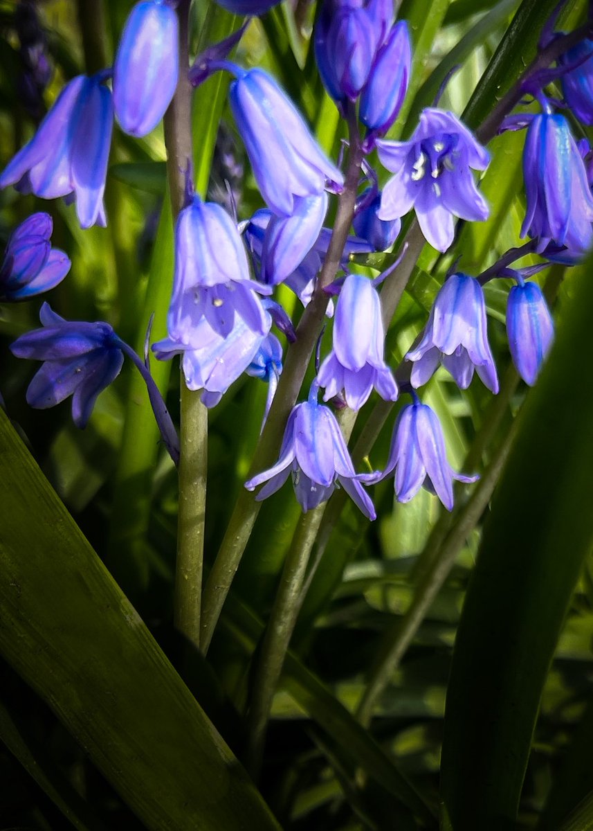 Kevin Bygate tweet media