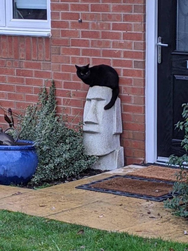 thatMoai's tweet photo. https://t.co/mrrONr4OvR