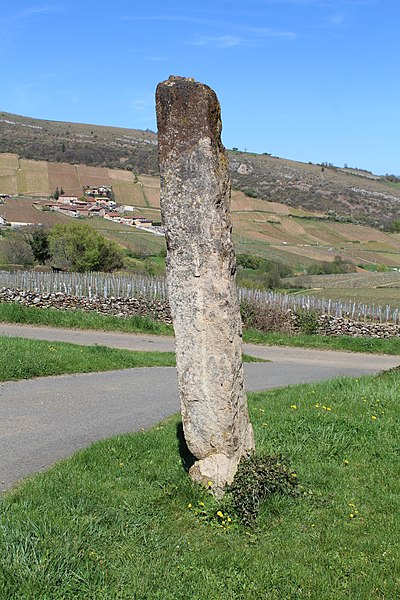 MonumentumFr's tweet photo. Menhir de Chancerons à #Vergisson (#SaôneEtLoire) Construction Néolithique. Menhir de Chancerons (cad. en bordure de la parcelle B 1114) : classement par arrêté du 19 septembre 1958.
Suite 👉 https://t.co/ljXsvoiAuB
#Patrimoine #MonumentHistorique https://t.co/0H85snKDv4