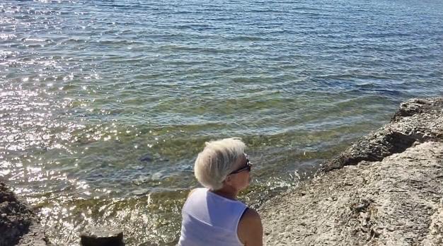 Ove Petersson tweet media