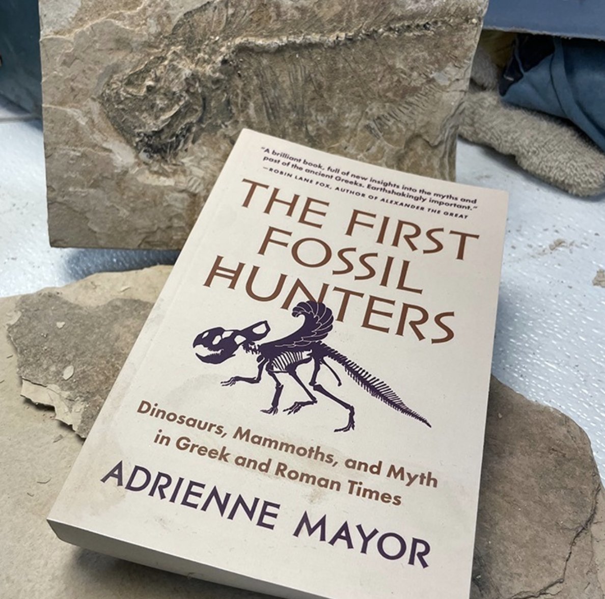 amayor's tweet photo. @MarkusBhler10 for whale skeletons interpreted as sea monsters in antiquity, see #FirstFossilHunters https://t.co/WNXAZcuyoq