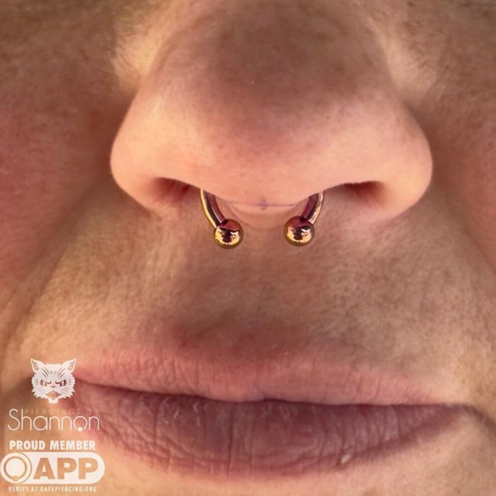 blackcatpa's tweet photo. Stunning rose gold anodized titanium circular barbell for this septum pierced by Shannon @piercingsbyshannon 
✨🌹💫 https://t.co/U1hpNlasSr