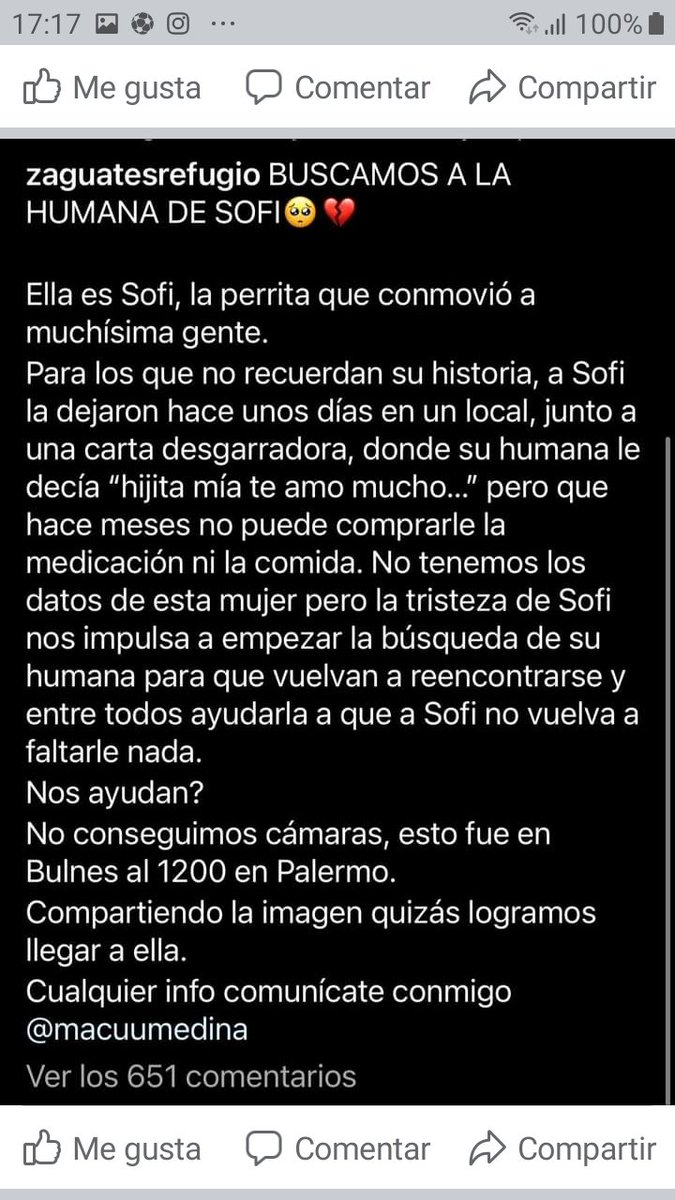 ComoNoAdorarlos's tweet photo. SE BUSCA A LA FAMILIA DE SOFI👇👇🙏 La dejaron en un local de  Palermo Bulnes 1200 porque no podían mantenerla más pero ella extraña mucho😥 SI LA RECONOCES COMUNICATE CON @macuumedina https://t.co/jxPeB2eTTN