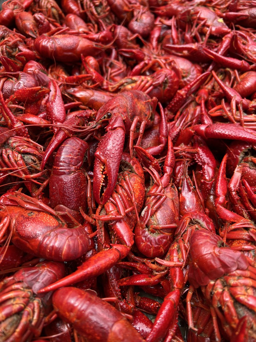 dwtno's tweet image. 