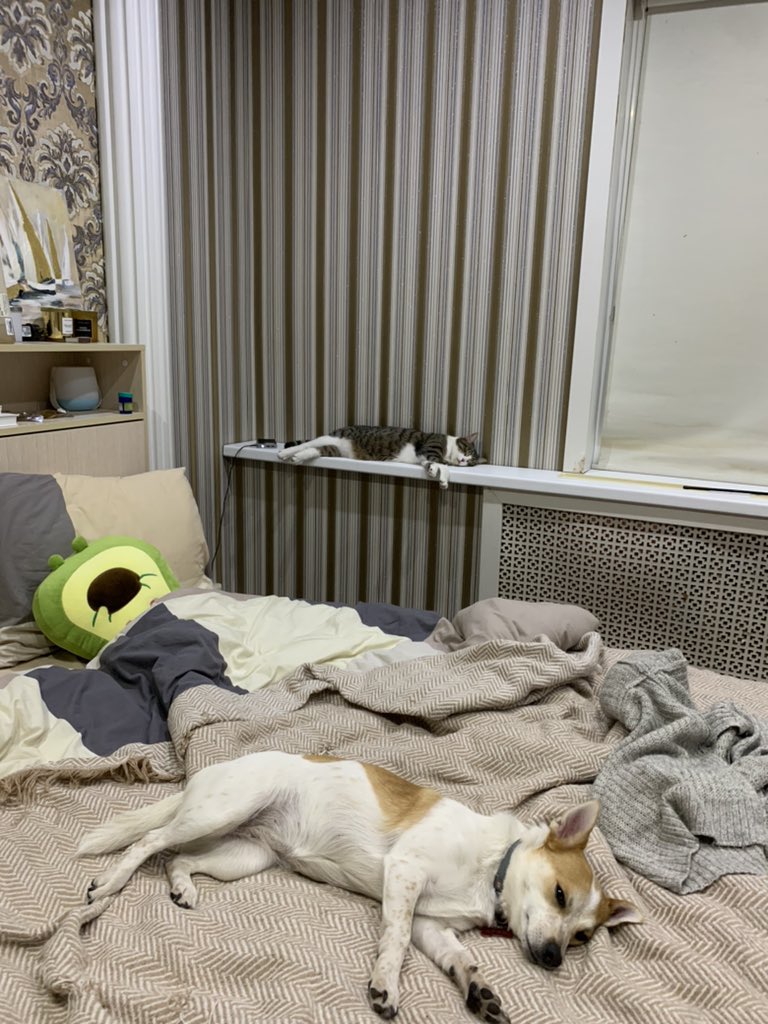 Yuka163's tweet photo. А ну и милашки мои https://t.co/Pe1iXaM3Gj
