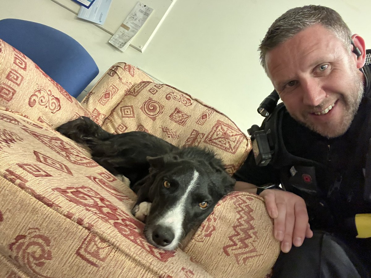 hawkey6's tweet image. A new member of the neighbourhood team maybe #babysittingadog